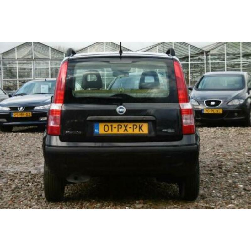 Fiat Panda 1.2 Dynamic BJ2005 NAP/STUURBEKR/ELEKRAM/1JR APK