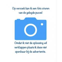 WasGij Mysterie 2: Stop de Tijd (1000 st)