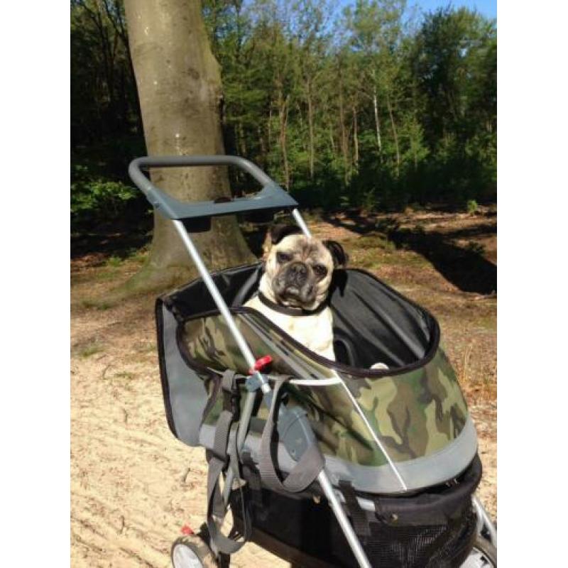 Hondenwagen/buggy
