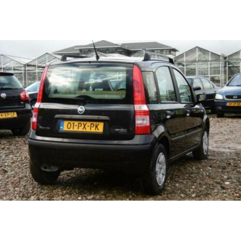 Fiat Panda 1.2 Dynamic BJ2005 NAP/STUURBEKR/ELEKRAM/1JR APK