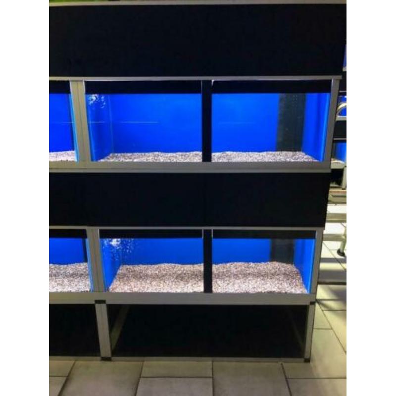 Aquariumstellingen