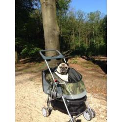 Hondenwagen/buggy