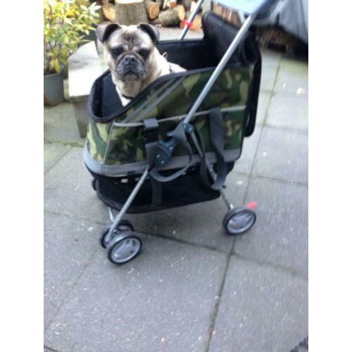 Hondenwagen/buggy