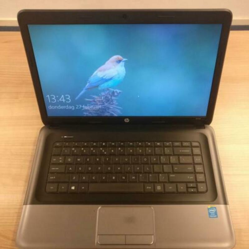 Nette 15.6 Inch HP Laptop