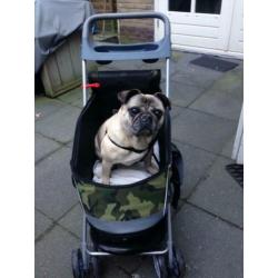Hondenwagen/buggy