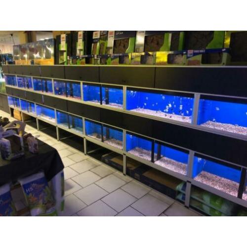 Aquariumstellingen