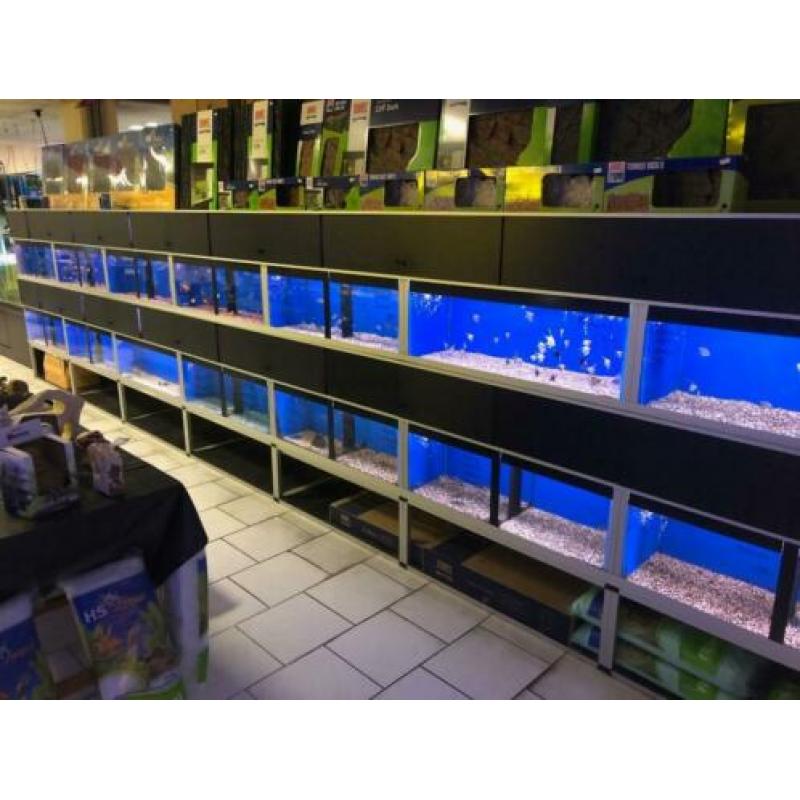 Aquariumstellingen