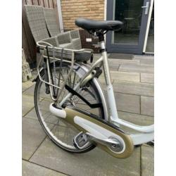 Gazelle met jonge accu (2018)met bon