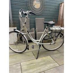 Gazelle met jonge accu (2018)met bon