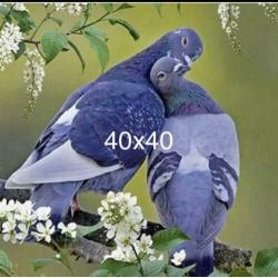 Opruiming div full diamond paint. vierk steentjes €10,-p/st