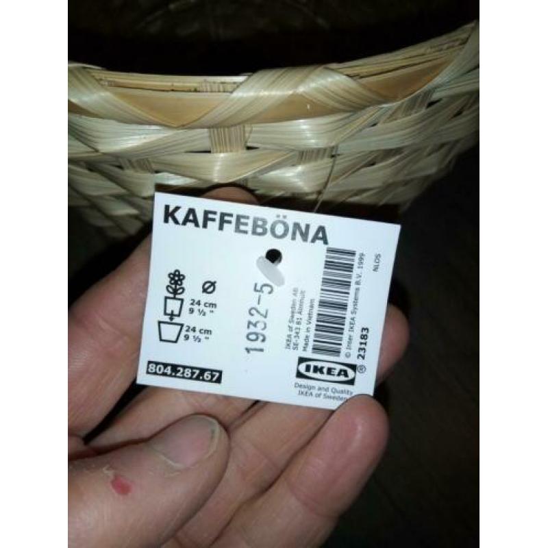 Palmplant, lepelplant en rieten bloempot