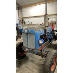 Ford majer