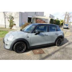 Mini Mini 1.5 Cooper - Pepper Panoramadak Serious Business