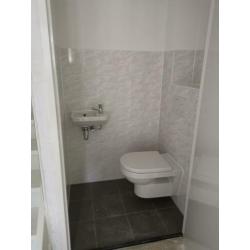 Villeroy en Boch toiletpot en fontein