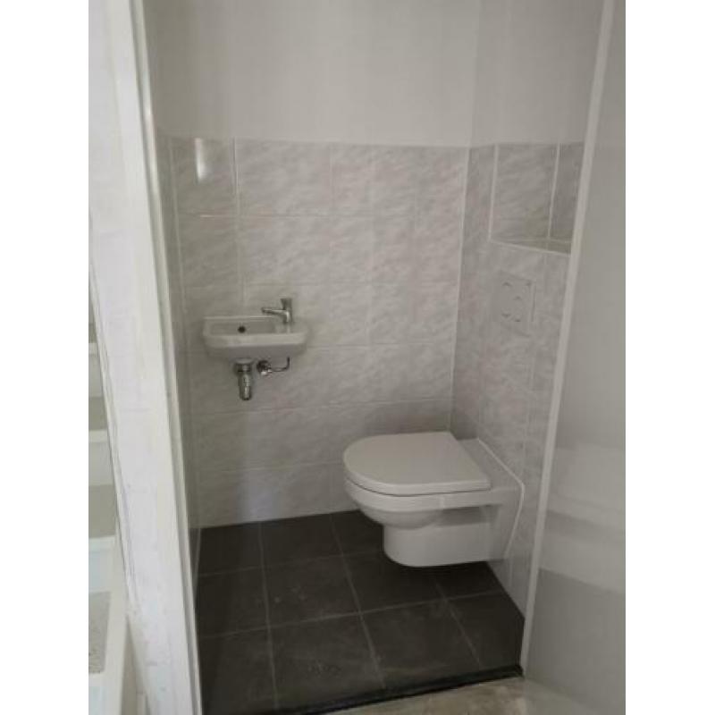 Villeroy en Boch toiletpot en fontein