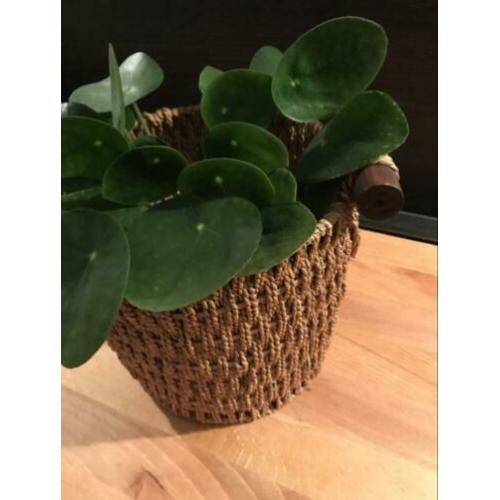 Gave vintage mand met houten handgrepen.