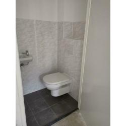 Villeroy en Boch toiletpot en fontein