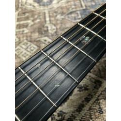 Sigma SDM15 Fishman incl. Hiscox koffer