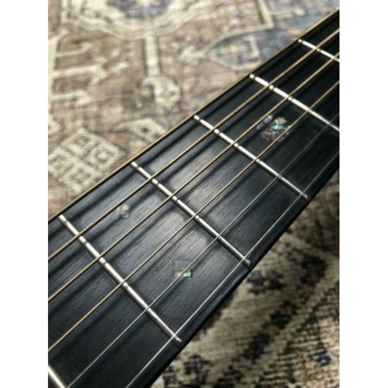 Sigma SDM15 Fishman incl. Hiscox koffer