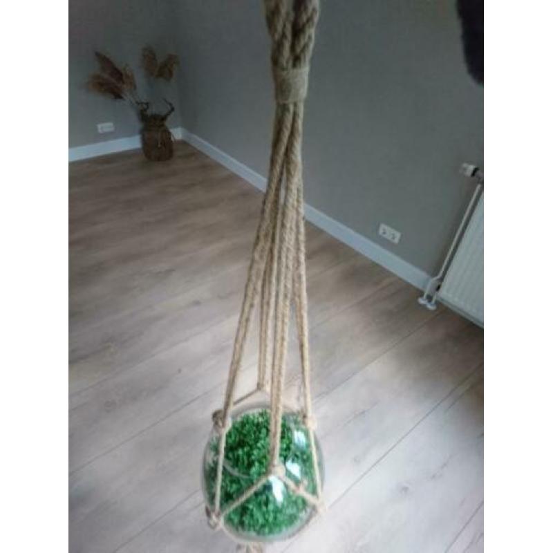 [KOOPJE] Kunstplant in glazen bol met scheepstouw [UNIEK!]