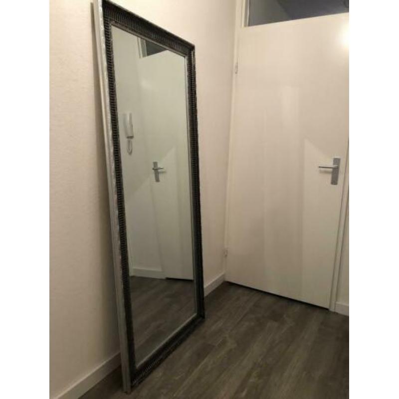 Spiegel 78x180
