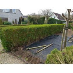 Gratis heg, zelf uitgraven.