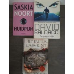 Huidpijn/Noort, de Provocatie/Baldacci, het Paulus Labyrinth