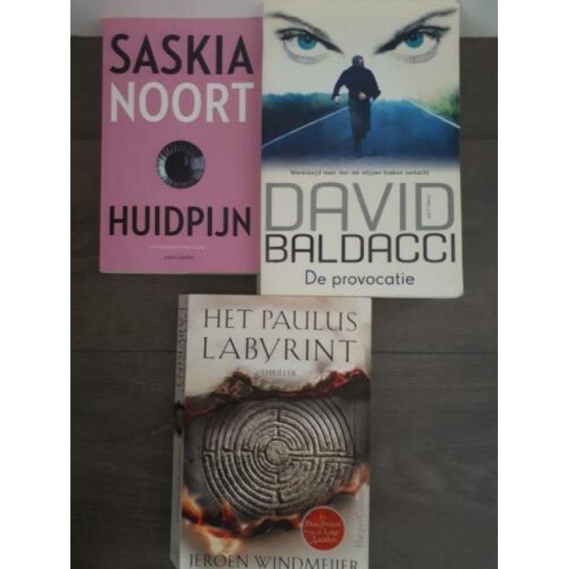 Huidpijn/Noort, de Provocatie/Baldacci, het Paulus Labyrinth