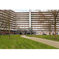 Kikkenstein 3641, 1104 TV Amsterdam, NLD