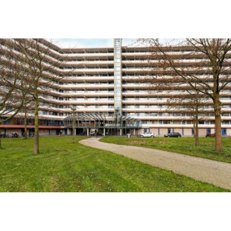 Kikkenstein 3641, 1104 TV Amsterdam, NLD