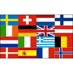4 daagse vlaggen 90x150 cm,vlag voor de nijmeegse vierdaagse
