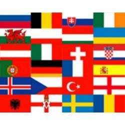 4 daagse vlaggen 90x150 cm,vlag voor de nijmeegse vierdaagse