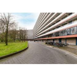 Kikkenstein 3641, 1104 TV Amsterdam, NLD