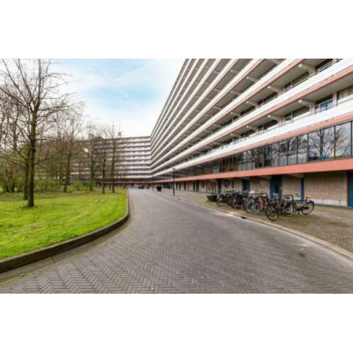 Kikkenstein 3641, 1104 TV Amsterdam, NLD