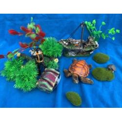 Scheepswrak, Duiker Schatskist Schildpad Rotsjes Plant, P2
