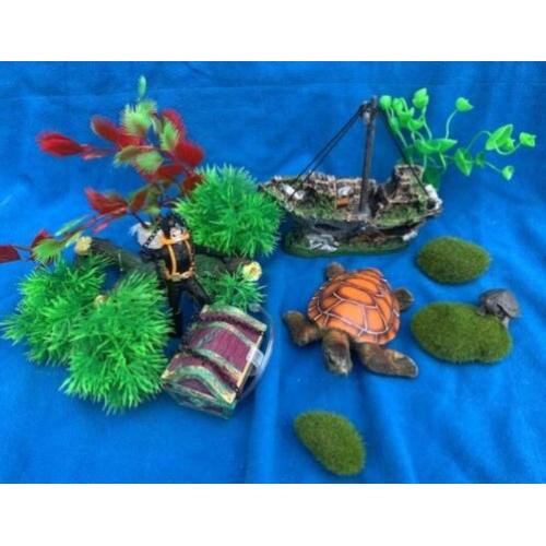 Scheepswrak, Duiker Schatskist Schildpad Rotsjes Plant, P2