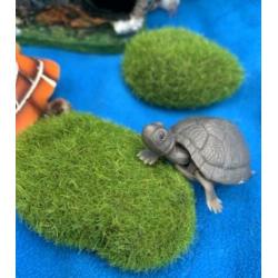 Scheepswrak, Duiker Schatskist Schildpad Rotsjes Plant, P2