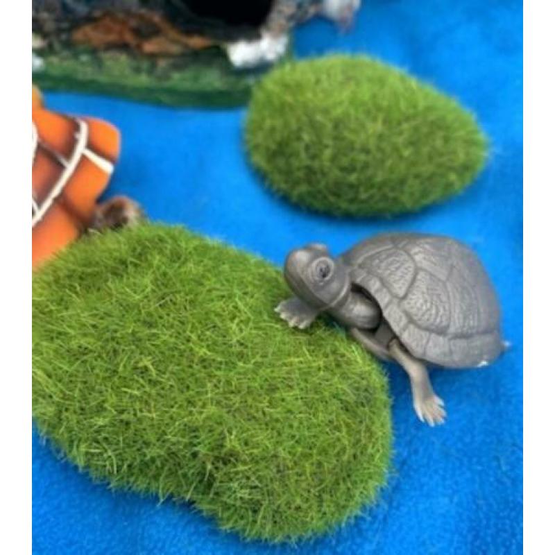 Scheepswrak, Duiker Schatskist Schildpad Rotsjes Plant, P2
