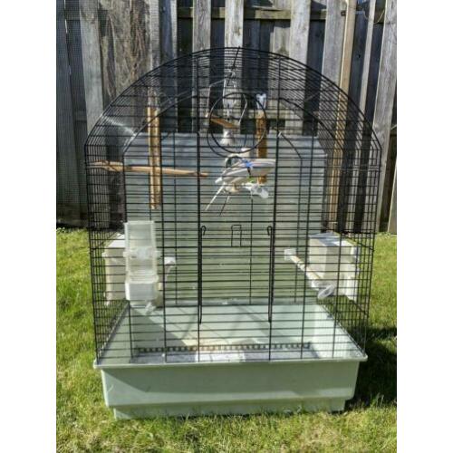 2 lieve tame grasparkieten Met kooi