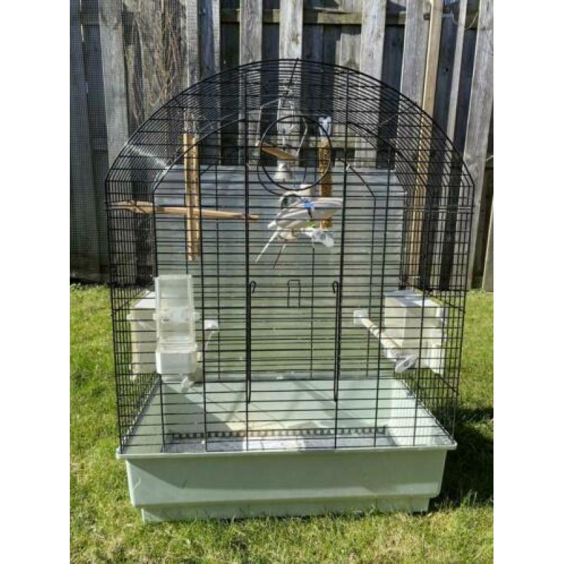 2 lieve tame grasparkieten Met kooi