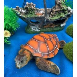 Scheepswrak, Duiker Schatskist Schildpad Rotsjes Plant, P2