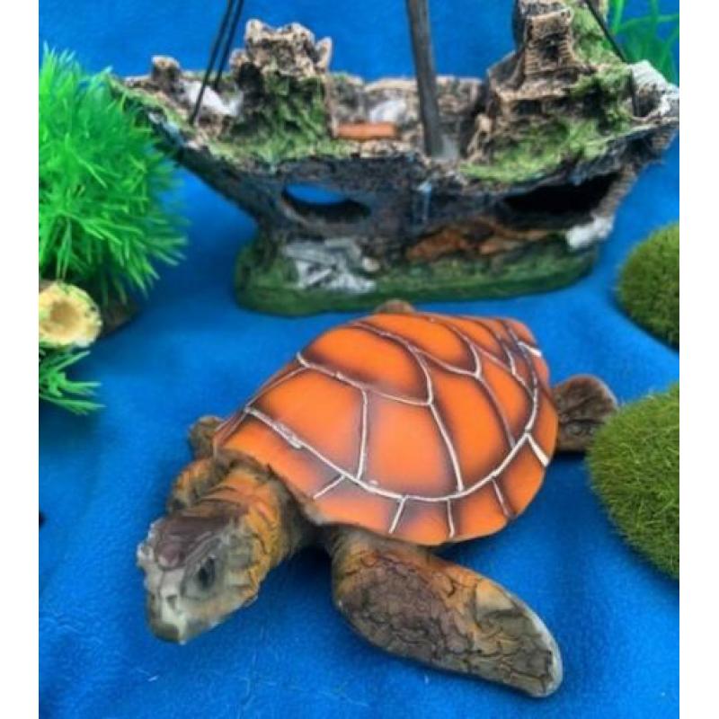 Scheepswrak, Duiker Schatskist Schildpad Rotsjes Plant, P2