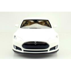 LS Collectibles 1:18 Tesla Model S met 10% korting!