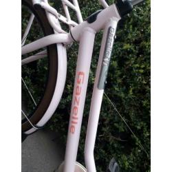 Gazelle heavy duty transport