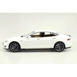 LS Collectibles 1:18 Tesla Model S met 10% korting!