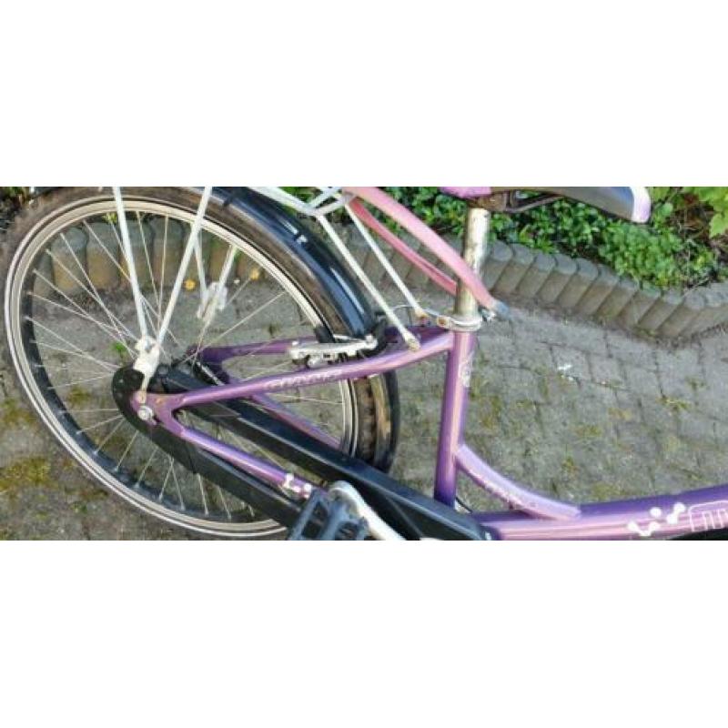 Fiets, merk giant