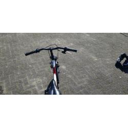 batavus snake 24 inch