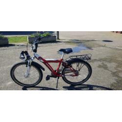 batavus snake 24 inch
