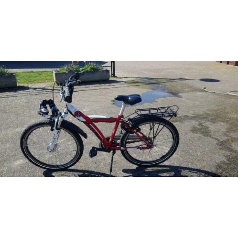 batavus snake 24 inch