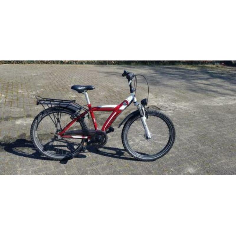 batavus snake 24 inch